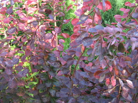 201010161 140