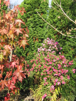 201010161 144