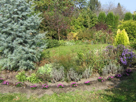 201010161 146