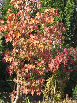 201010161 148