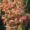201010161 148