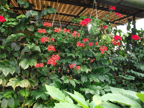 DSCF1403