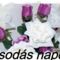 765519_eb9861aacb_o