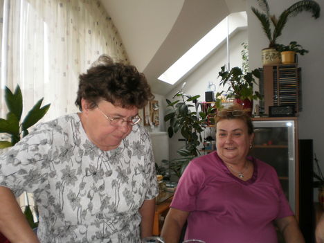 nővérem és én