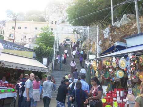 Viva Santa Rosalia-Palermo