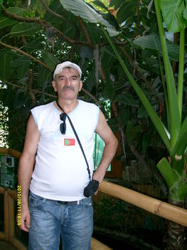 Nyíregyházi pálmaházban