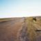Sivatagi út Kazakhstanban (1991)