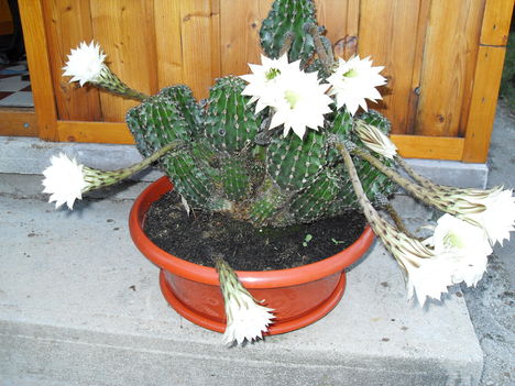 2010 048
