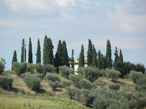 Csodálatos Toscana !