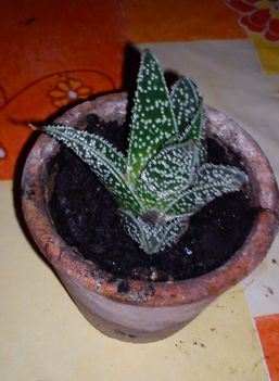 DSC00032