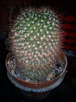 DSC00047
