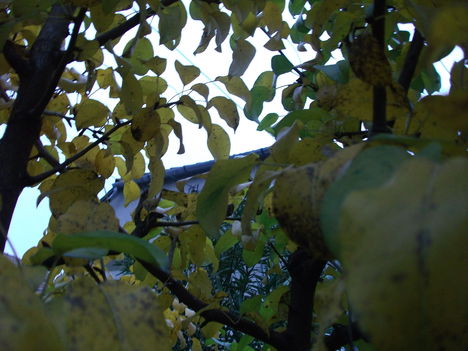 DSCF1538