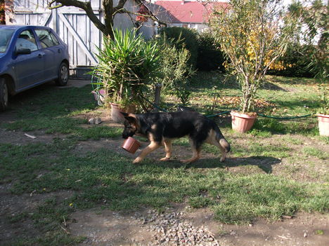 DSCF1547