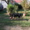 DSCF1547