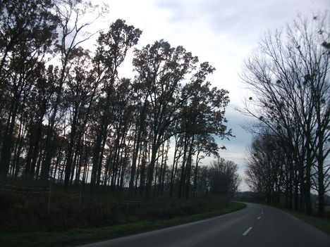DSCF1568