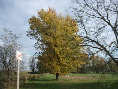 DSCF1577