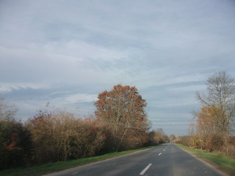 DSCF1579