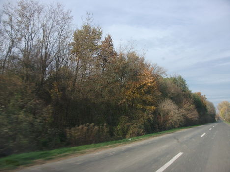 DSCF1582