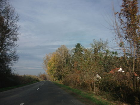 DSCF1584