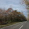DSCF1586