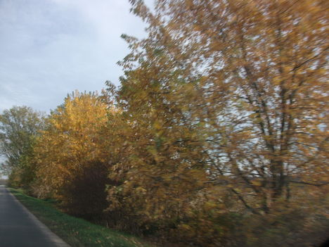 DSCF1598