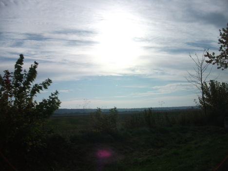 DSCF1600