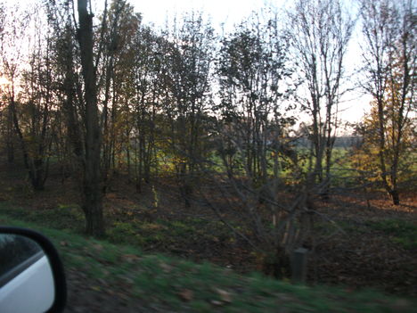 DSCF1618