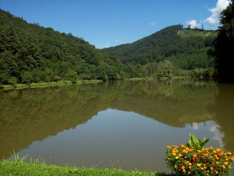 halasto