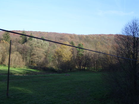 Kép 030
