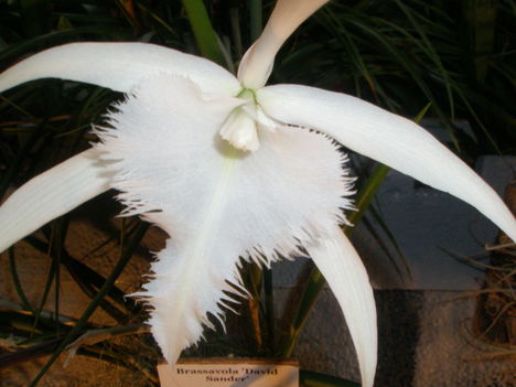 PB070111
