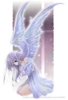 27909anime angel