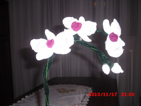 horgolt orchideám 2