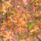 2010.11