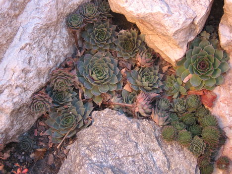 2010.11