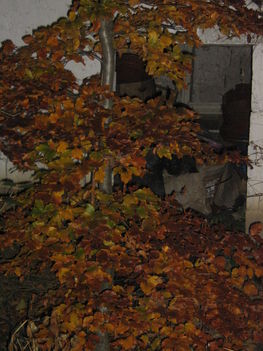 2010.11