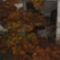 2010.11