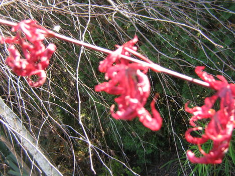 2010.11