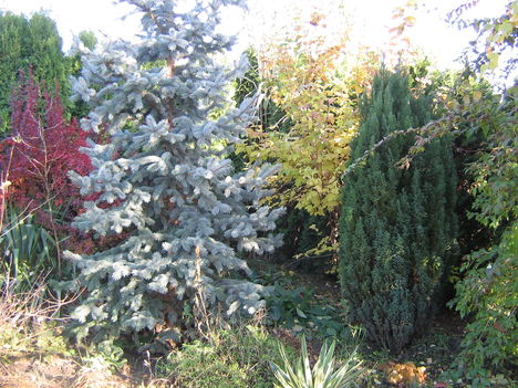2010.11