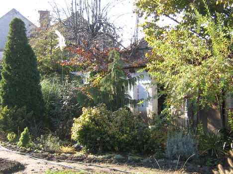 2010.11