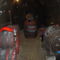 2010 november  14 024