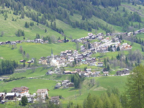 DSCF2728