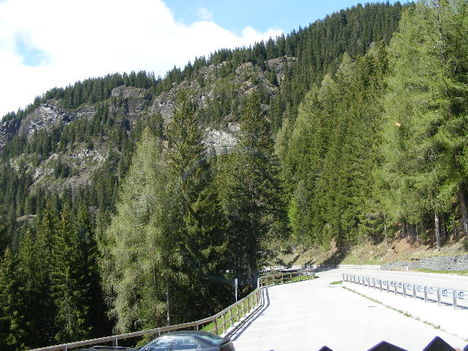 DSCF2754