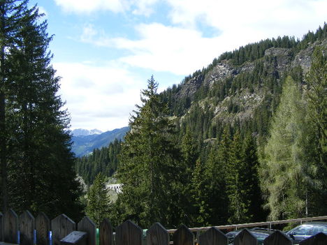 DSCF2755