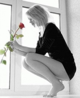 A rózsa ugyan gyönyörű, ám sokat kell dolgozni azért, hogy egészséges legyen és virágokat hozzon. Férgek és betegségek fenyegetik, és a töviseivel önmagának és másoknak is fájdalmat okozhat. Bármilyen nagy is egy rózsa, ha nem nevelik rendesen, akkor a me
