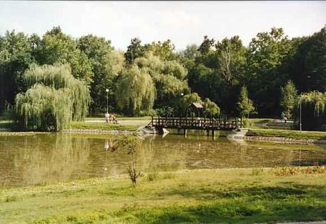 Debrecen békás tó