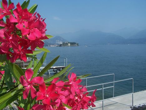 Lago Maggiore