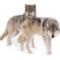 5cb6be3c83a293f16218ae58864ccf22_302x251z0