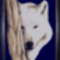 7162863beca516bea8dabdc273ffb80f_224x310z0