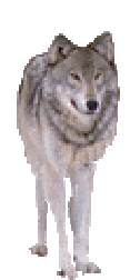 a3cf5d1dadb0a1282c51b31947388596_126x252z0