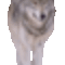 a3cf5d1dadb0a1282c51b31947388596_126x252z0